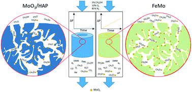 Graphical abstract: Hydroxyapatite supported molybdenum oxide catalyst for selective oxidation of methanol to formaldehyde: studies of industrial sized catalyst pellets