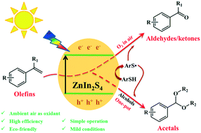 Graphical abstract: Thiol-initiated photocatalytic oxidative cleavage of the C [[double bond, length as m-dash]] C bond in olefins and its extension to direct production of acetals from olefins