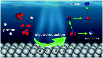 Graphical abstract: Recent discoveries in the reaction mechanism of heterogeneous electrocatalytic nitrate reduction