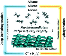 Graphical abstract: Interactive network of the dehydrogenation of alkanes, alkenes and alkynes – surface carbon hydrogenative coupling on Ru(111)