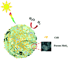 Graphical abstract: Lamellar flower-like porous MoS2 as an efficient cocatalyst to boost photocatalytic hydrogen evolution of CdS