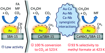 Graphical abstract: The effect of the calcium dopant on the activity and selectivity of gold catalysts supported on SBA-15 and Nb-containing SBA-15 in methanol oxidation