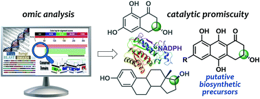 Graphical abstract: Promiscuity of an unrelated anthrol reductase of Talaromyces islandicus WF-38-12