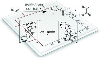 Graphical abstract: (In situ) spectroscopic studies on state-of-the-art Pd(ii) catalysts in solution for the alkoxycarbonylation of alkenes