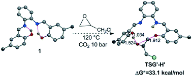 Graphical abstract: Cycloaddition mechanisms of CO2 and epoxide catalyzed by salophen – an organocatalyst free from metals and halides