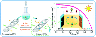 Graphical abstract: Tailorable boron-doped carbon nanotubes as high-efficiency counter electrodes for quantum dot sensitized solar cells