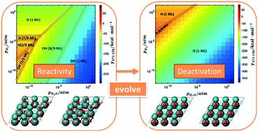 Graphical abstract: Surface phase structures responsible for the activity and deactivation of the fcc MoC (111)-Mo surface in steam reforming: a systematic kinetic and thermodynamic investigation