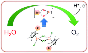 Graphical abstract: Modulating the water oxidation catalytic activity of iridium complexes by functionalizing the Cp*-ancillary ligand: hints on the nature of the active species