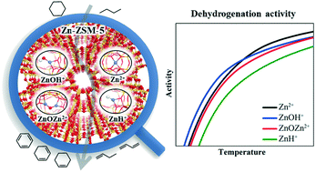 Graphical abstract: First-principles microkinetic analysis of Lewis acid sites in Zn-ZSM-5 for alkane dehydrogenation and its implication to methanol-to-aromatics conversion