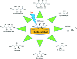 Graphical abstract: Photocatalytic processes for biomass conversion