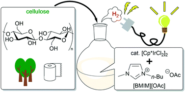 Graphical abstract: Hydrogen production from cellulose catalyzed by an iridium complex in ionic liquid under mild conditions