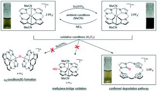 Graphical abstract: Degradation pathways of a highly active iron(iii) tetra-NHC epoxidation catalyst