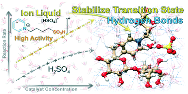 Graphical abstract: Boosting the performance by the water solvation shell with hydrogen bonds on protonic ionic liquids: insights into the acid catalysis of the glycosidic bond