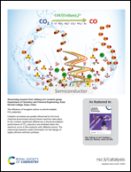 Graphical abstract: Back cover