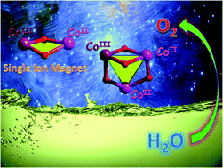 Graphical abstract: Slow magnetic relaxation and water oxidation activity of dinuclear CoIICoIII and unique triangular CoIICoIICoIII mixed-valence complexes