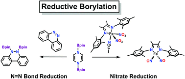 Graphical abstract: A reagent for heteroatom borylation, including iron mediated reductive deoxygenation of nitrate yielding a dinitrosyl complex