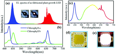 Graphical abstract: Novel Mn4+ doped red phosphors composed of MgAl2O4 and CaAl12O19 phases for light-emitting diodes
