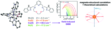 Graphical abstract: Structural, magnetic, redox and theoretical characterization of seven-coordinate first-row transition metal complexes with a macrocyclic ligand containing two benzimidazolyl N-pendant arms