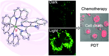 Graphical abstract: Cyclometalated iridium(iii) complexes for mitochondria-targeted combined chemo-photodynamic therapy