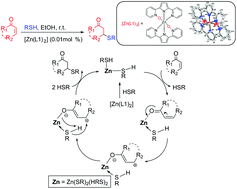 Graphical abstract: Zinc complexes supported by pyridine-N-oxide ligands: synthesis, structures and catalytic Michael addition reactions