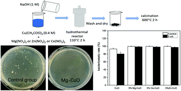 Graphical abstract: Synthesis and evaluation of the structural and antibacterial properties of doped copper oxide