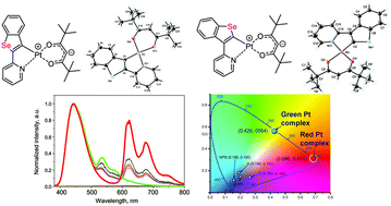 Graphical abstract: Benzoselenophenylpyridine platinum complexes: green versus red phosphorescence towards hybrid OLEDs