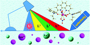 Graphical abstract: Theoretical insights into selective separation of trivalent actinide and lanthanide by ester and amide ligands based on phenanthroline skeleton