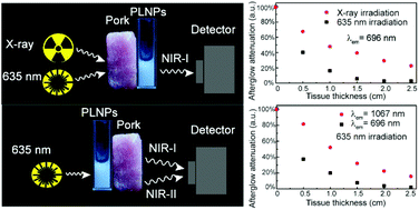 Graphical abstract: X-ray/red-light excited ZGGO:Cr,Nd nanoprobes for NIR-I/II afterglow imaging