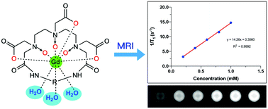 Graphical abstract: Gadolinium complexes of macrocyclic diethylenetriamine-N-oxide pentaacetic acid-bisamide as highly stable MRI contrast agents with high relaxivity