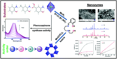 Graphical abstract: Synthesis of Mn3O4 nanozymes from structurally characterized phenoxazinone synthase models based on manganese(iii) Schiff base complexes