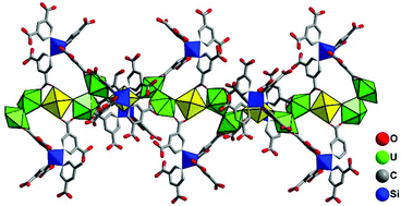 Graphical abstract: Occurrence of polyoxouranium motifs in uranyl organic networks constructed by using silicon-centered carboxylate linkers: structures, spectroscopy and computation