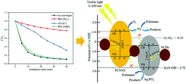 Graphical abstract: A novel Z-scheme porous g-C3N4 nanosheet/Ag3PO4 photocatalyst decorated with N-doped CDs for high efficiency removal of antibiotics