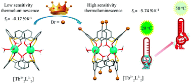 Graphical abstract: A simple synthetic approach to enhance the thermal luminescence sensitivity of Tb3+ complexes with thiacalix[4]arene derivatives through upper-rim bromination