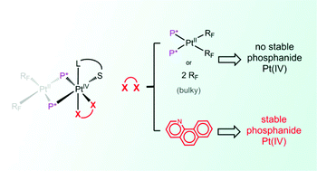 Graphical abstract: Stable mixed-valence diphenylphosphanido bridged platinum(ii)–platinum(iv) complexes