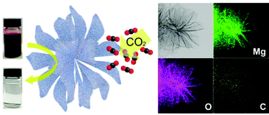 Graphical abstract: Construction of a hierarchical-structured MgO-carbon nanocomposite from a metal–organic complex for efficient CO2 capture and organic pollutant removal