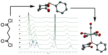 Graphical abstract: Phosphacycloalkyldiones: synthesis and coordinative behaviour of 6- and 7-member cyclic diketophosphanyls