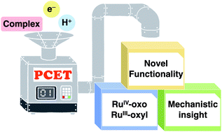 Graphical abstract: Development of functionality of metal complexes based on proton-coupled electron transfer