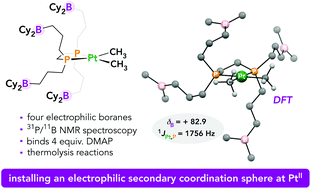 Graphical abstract: Platinum complexes of a boron-rich diphosphine ligand