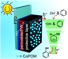 Graphical abstract: Polyoxometalates acting as a hole-transfer mediator and crystallization accelerant in a perovskite photoanode for the photoelectrocatalytic oxidation of benzene into phenol