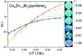 Graphical abstract: Influence of magnetic dilution on relaxation processes in a solid solution comprising tetrahedral Co/ZnII complexes