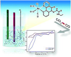 Graphical abstract: Spectroscopic characterization of a new Re(i) tricarbonyl complex with a thiosemicarbazone derivative: towards sensing and electrocatalytic applications
