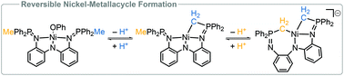 Graphical abstract: Reversible nickel-metallacycle formation with a phosphinimine-based pincer ligand