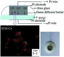 Graphical abstract: Y-doped CaZrO3/Co3O4 as novel dense diffusion barrier materials for a limiting current oxygen sensor