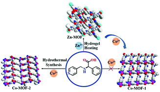 Graphical abstract: Crystal structures and the ferroelectric properties of homochiral metal–organic frameworks constructed from a single chiral ligand