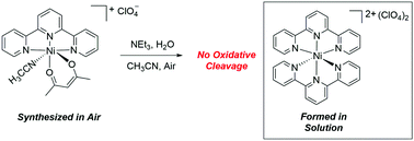 Graphical abstract: N3-Ligated nickel(ii) diketonate complexes: synthesis, characterization and evaluation of O2 reactivity