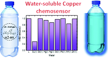 Graphical abstract: A water-soluble bithiophene with increased photoluminescence efficiency and metal recognition ability