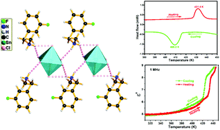 Graphical abstract: Tin based organic–inorganic hybrid semiconductors with reversible phase transition and dielectric anomaly