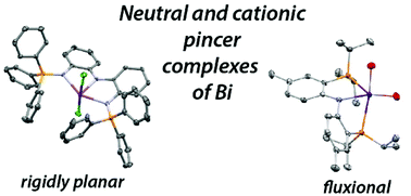 Graphical abstract: Squeezing Bi: PNP and P2N3 pincer complexes of bismuth