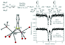 Graphical abstract: Benzenedithiolate-bridged MoFe complexes: structures, oxidation states, and reactivities