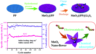 Graphical abstract: MnO2 nanoflowers grown on a polypropylene separator for use as both a barrier and an accelerator of polysulfides for high-performance Li–S batteries